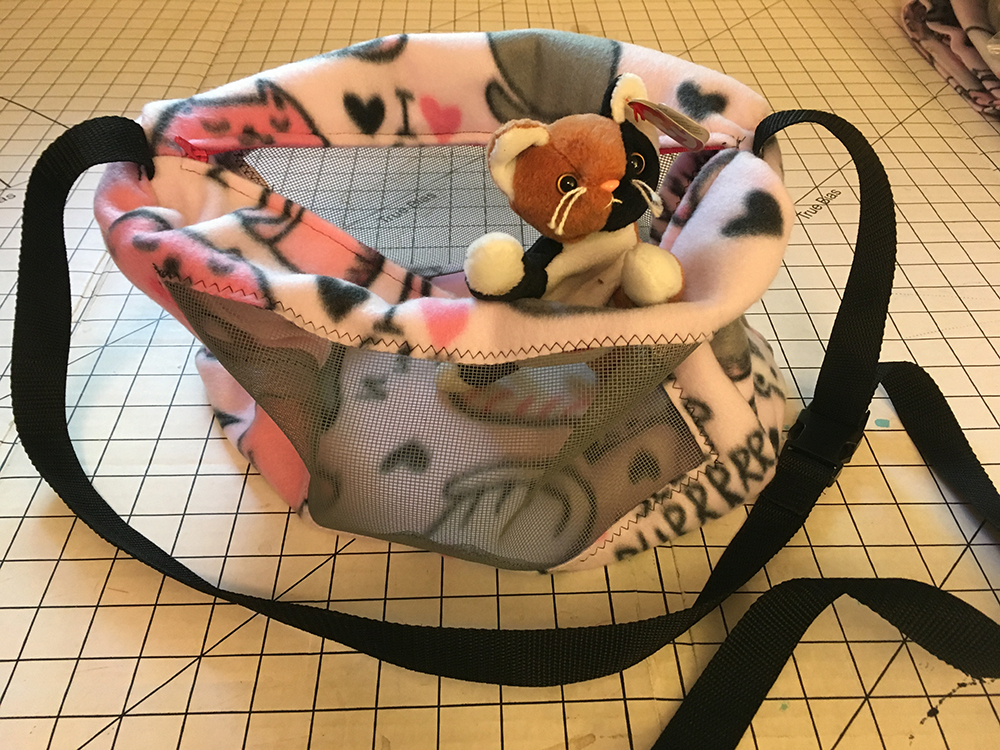 kitty socialization bag